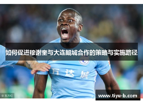 如何促进穆谢奎与大连鲲城合作的策略与实施路径