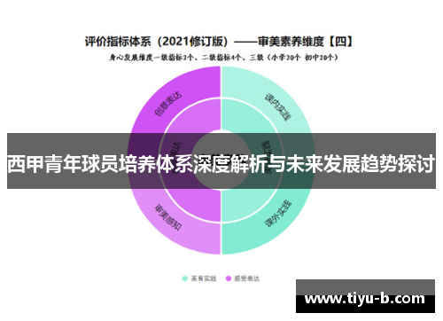 西甲青年球员培养体系深度解析与未来发展趋势探讨