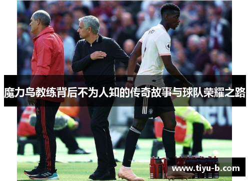 魔力鸟教练背后不为人知的传奇故事与球队荣耀之路