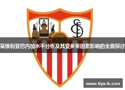 塞维利亚巴内加水平分析及其受多重因素影响的全面探讨