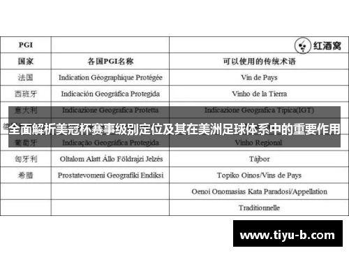 全面解析美冠杯赛事级别定位及其在美洲足球体系中的重要作用 全面解析美冠杯赛事级别定位及其在美洲足球体系中的重要作用
