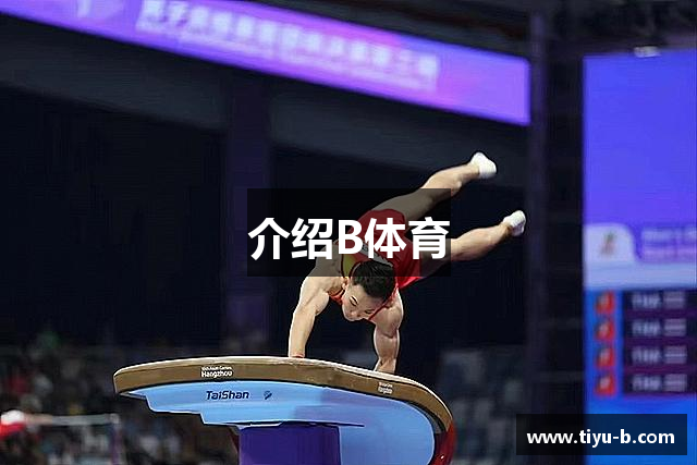 介绍B体育